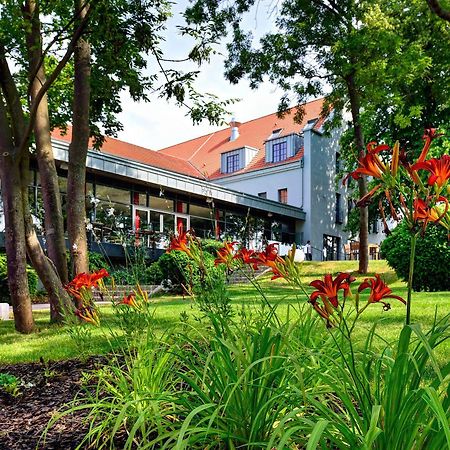 Arthotel Kiebitzberg Havelberg Exterior photo