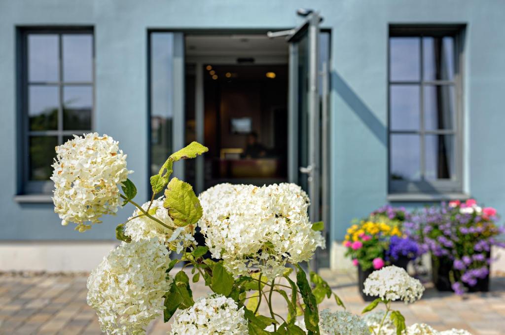 Arthotel Kiebitzberg Havelberg Exterior photo